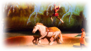 cavalia2