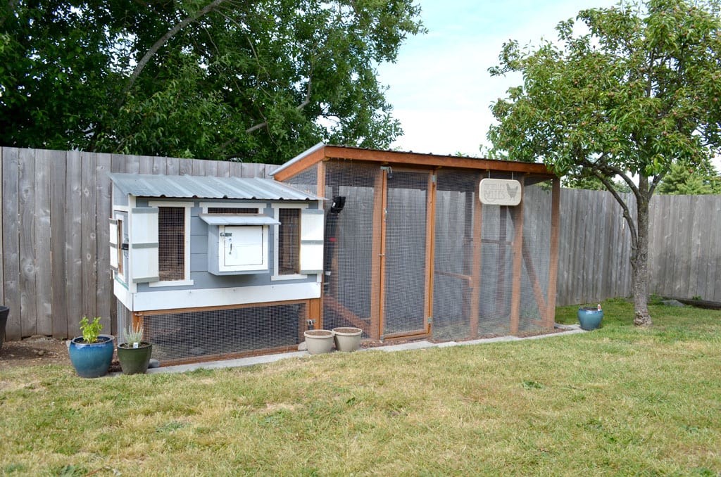 chicken-coop-main