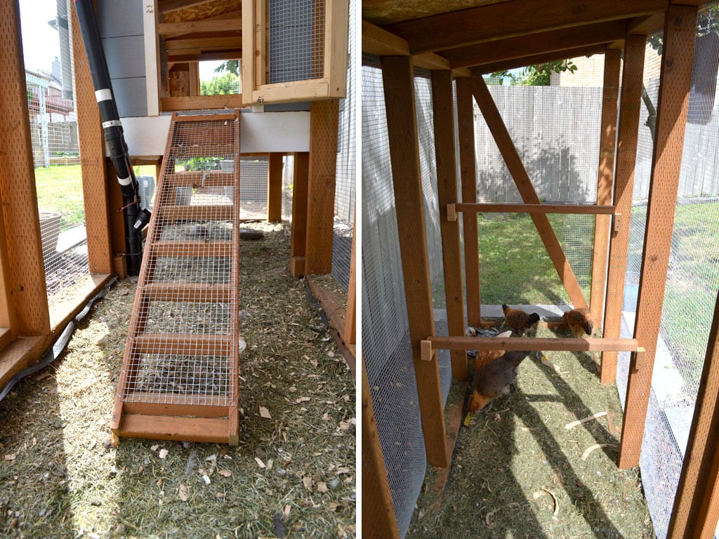 coop-ramp-and-bars